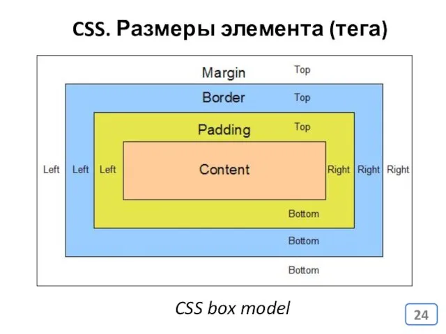 CSS. Размеры элемента (тега) CSS box model