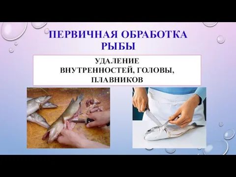 ПЕРВИЧНАЯ ОБРАБОТКА РЫБЫ УДАЛЕНИЕ ВНУТРЕННОСТЕЙ, ГОЛОВЫ, ПЛАВНИКОВ