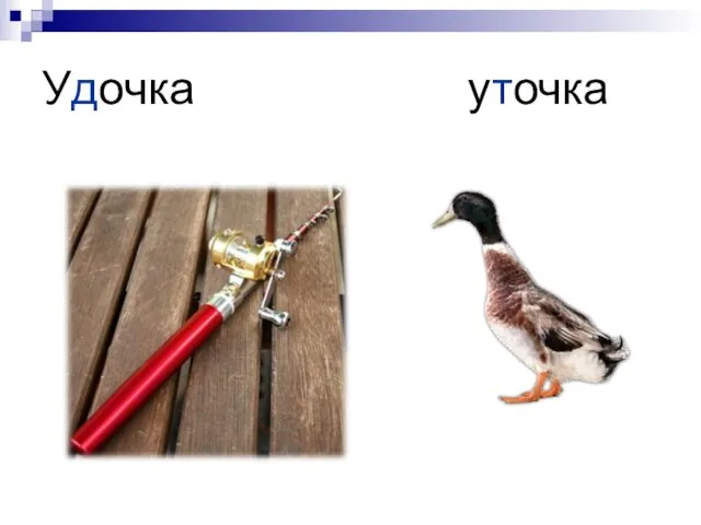 Удочка уточка