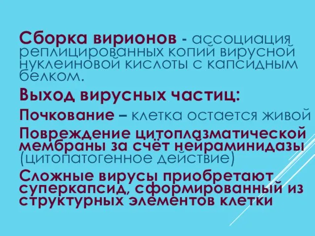 Сборка вирионов - ассоциация реплицированных копий вирусной нуклеиновой кислоты с капсидным белком. Выход