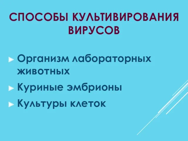 СПОСОБЫ КУЛЬТИВИРОВАНИЯ ВИРУСОВ Организм лабораторных животных Куриные эмбрионы Культуры клеток