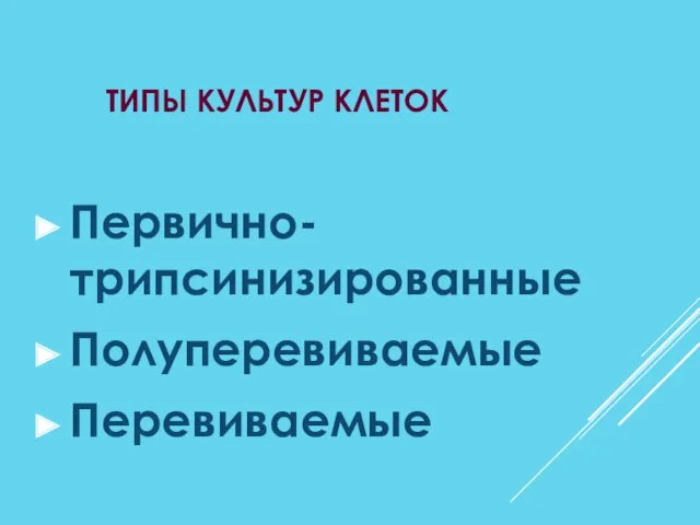 ТИПЫ КУЛЬТУР КЛЕТОК Первично-трипсинизированные Полуперевиваемые Перевиваемые