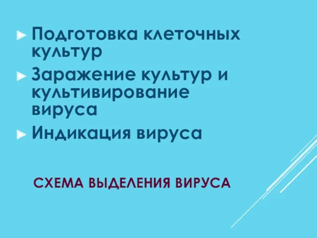 СХЕМА ВЫДЕЛЕНИЯ ВИРУСА Подготовка клеточных культур Заражение культур и культивирование вируса Индикация вируса