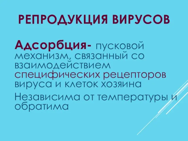 РЕПРОДУКЦИЯ ВИРУСОВ Адсорбция- пусковой механизм, связанный со взаимодействием специфических рецепторов вируса и клеток