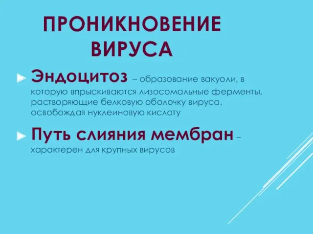 ПРОНИКНОВЕНИЕ ВИРУСА Эндоцитоз – образование вакуоли, в которую впрыскиваются лизосомальные ферменты, растворяющие белковую