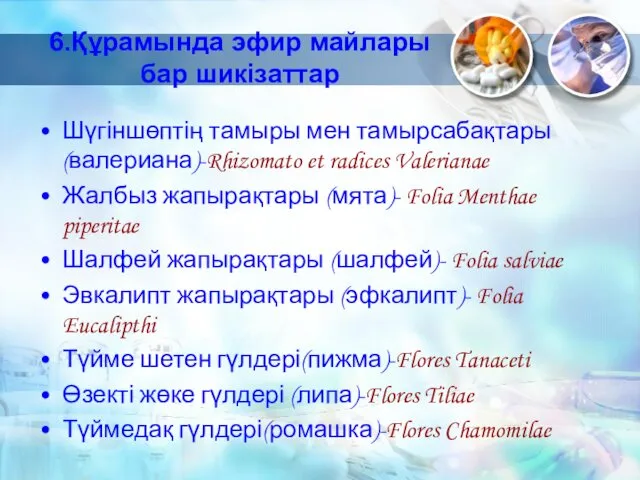 6.Құрамында эфир майлары бар шикізаттар Шүгіншөптің тамыры мен тамырсабақтары (валериана)-Rhizomato