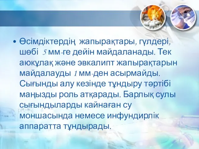 Өсімдіктердің жапырақтары, гүлдері, шөбі 5 мм-ге дейін майдаланады. Тек аюкұлақ