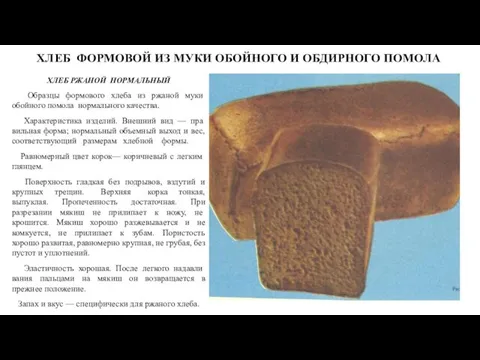 ХЛЕБ ФОРМОВОЙ ИЗ МУКИ ОБОЙНОГО И ОБДИРНОГО ПОМОЛА ХЛЕБ РЖАНОЙ