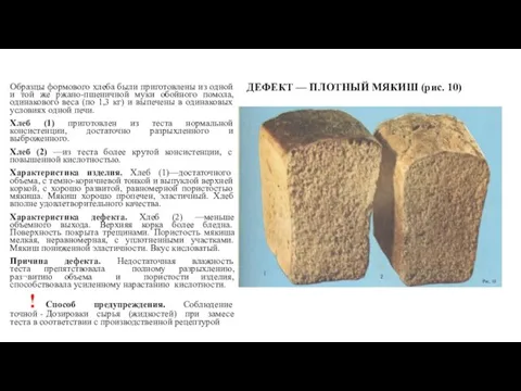 ДЕФЕКТ — ПЛОТНЫЙ МЯКИШ (рис. 10) Образцы формового хлеба были