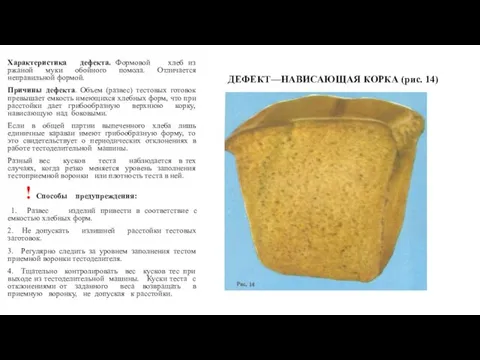 ДЕФЕКТ—НАВИСАЮЩАЯ КОРКА (рис. 14) Характеристика дефекта. Формовой хлеб из ржаной