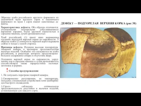 ДЕФЕКТ — ПОДГОРЕЛАЯ ВЕРХНЯЯ КОРКА (рис 38) Образцы хлеба российского