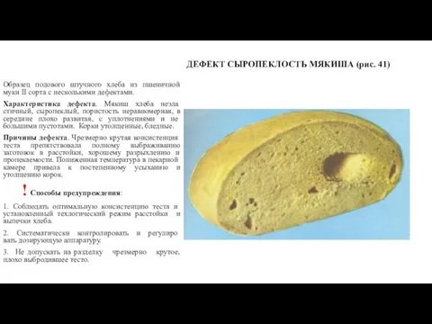 ДЕФЕКТ СЫРОПЕКЛОСТЬ МЯКИША (рис. 41) Образец подового штучного хлеба из