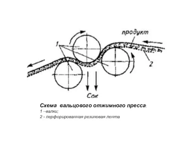 Схема вальцового отжимного пресса: 1 –валки; 2 - перфорированная резиновая лента