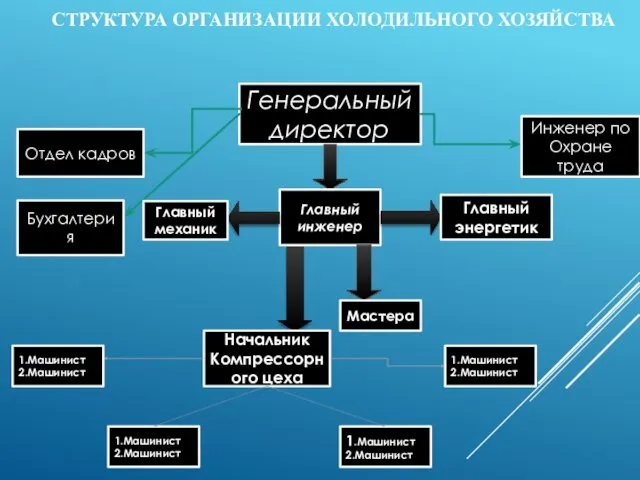 СТРУКТУРА ОРГАНИЗАЦИИ ХОЛОДИЛЬНОГО ХОЗЯЙСТВА Генеральный директор Главный инженер Инженер по