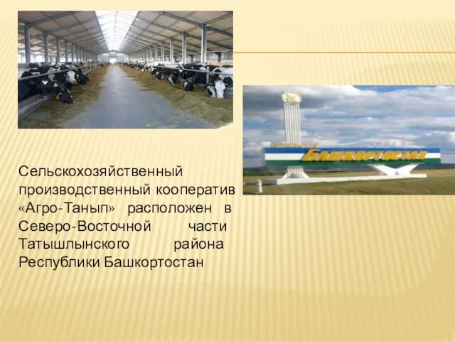 Сельскохозяйственный производственный кооператив «Агро-Танып» расположен в Северо-Восточной части Татышлынского района Республики Башкортостан
