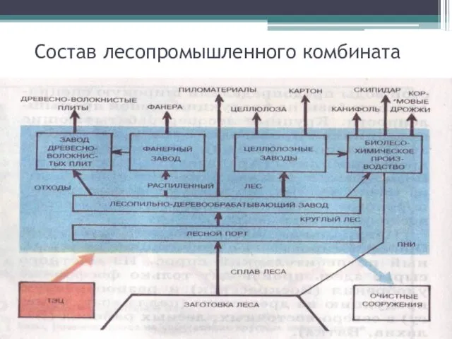 Состав лесопромышленного комбината