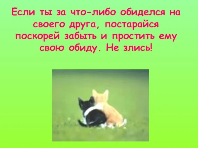 Если ты за что-либо обиделся на своего друга, постарайся поскорей