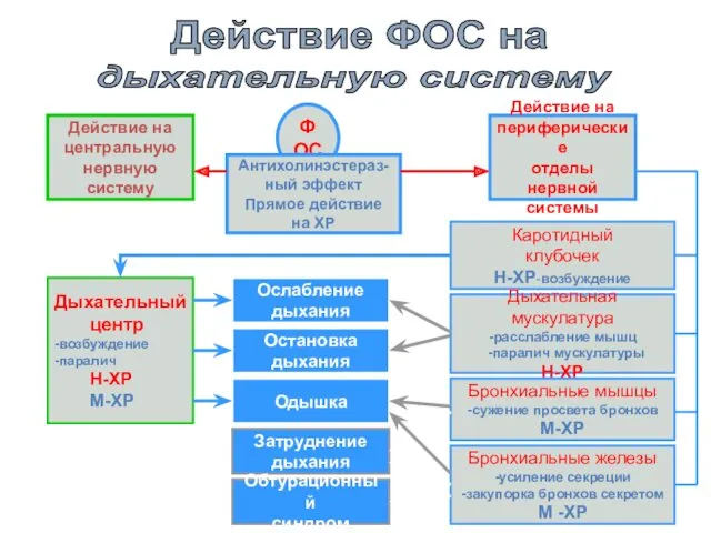 Действие ФОС на дыхательную систему ФОС Антихолинэстераз- ный эффект Прямое