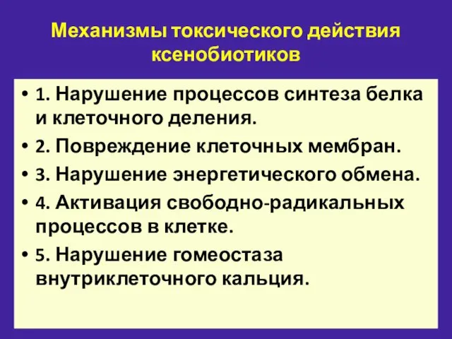 Механизмы токсического действия ксенобиотиков 1. Нарушение процессов синтеза белка и