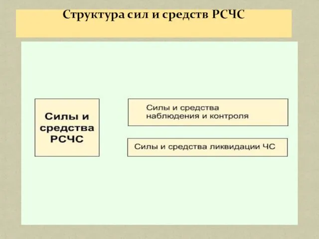 Структура сил и средств РСЧС