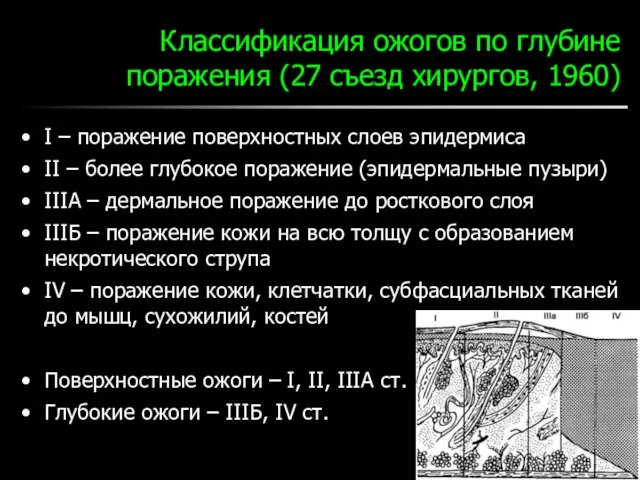 Классификация ожогов по глубине поражения (27 съезд хирургов, 1960) I