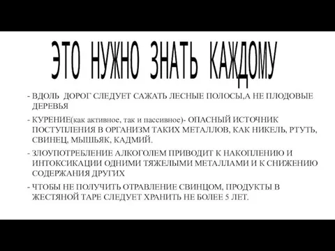 ЭТО НУЖНО ЗНАТЬ КАЖДОМУ ВДОЛЬ ДОРОГ СЛЕДУЕТ САЖАТЬ ЛЕСНЫЕ ПОЛОСЫ,А НЕ ПЛОДОВЫЕ ДЕРЕВЬЯ