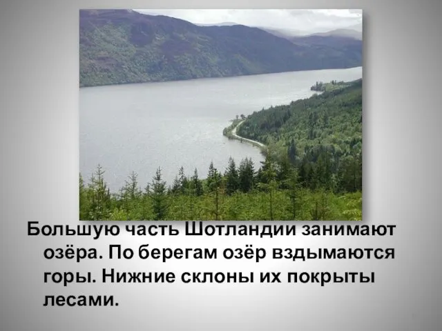 Большую часть Шотландии занимают озёра. По берегам озёр вздымаются горы. Нижние склоны их покрыты лесами.