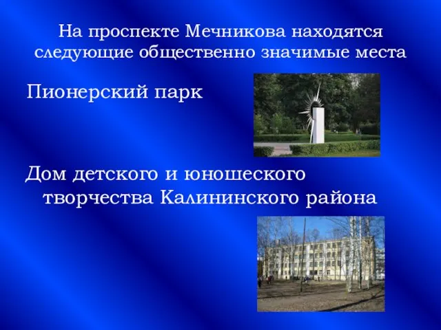 На проспекте Мечникова находятся следующие общественно значимые места Пионерский парк