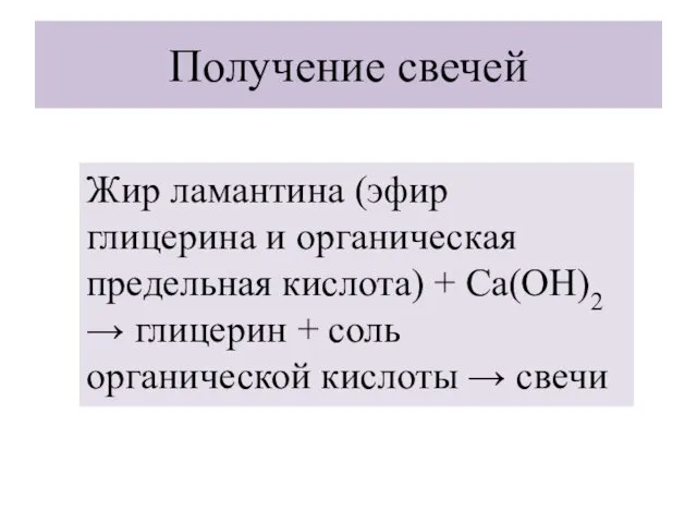 Получение свечей Жир ламантина (эфир глицерина и органическая предельная кислота)