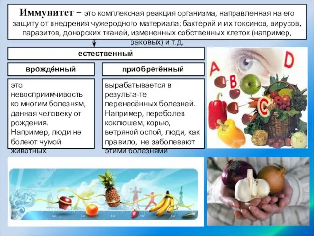 Иммунитет – это комплексная реакция организма, направленная на его защиту