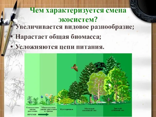 Чем характеризуется смена экосистем? Увеличивается видовое разнообразие; Нарастает общая биомасса; Усложняются цепи питания.