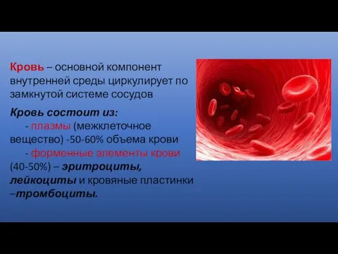 Кровь – основной компонент внутренней среды циркулирует по замкнутой системе сосудов Кровь состоит