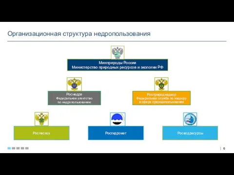 Организационная структура недропользования Минприроды России Министерство природных ресурсов и экологии РФ