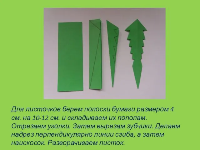 Для листочков берем полоски бумаги размером 4 см. на 10-12 см. и складываем