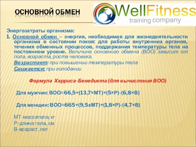 Энергозатраты организма: 1. Основной обмен – энергия, необходимая для жизнедеятельности