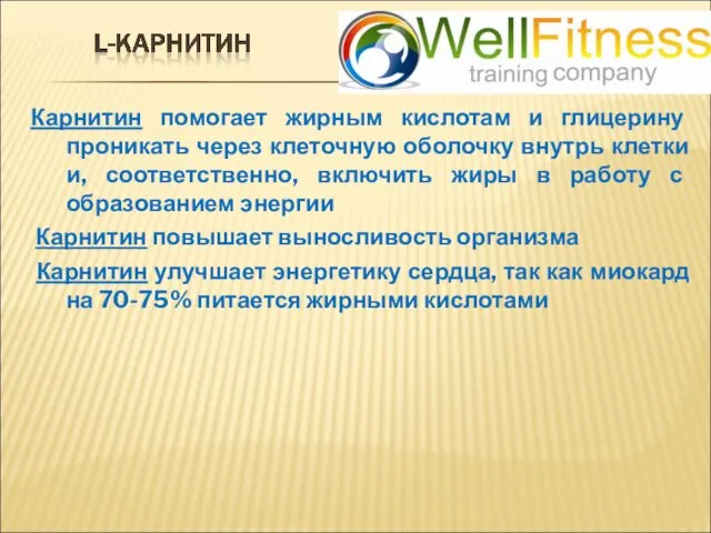 Карнитин помогает жирным кислотам и глицерину проникать через клеточную оболочку внутрь клетки и,