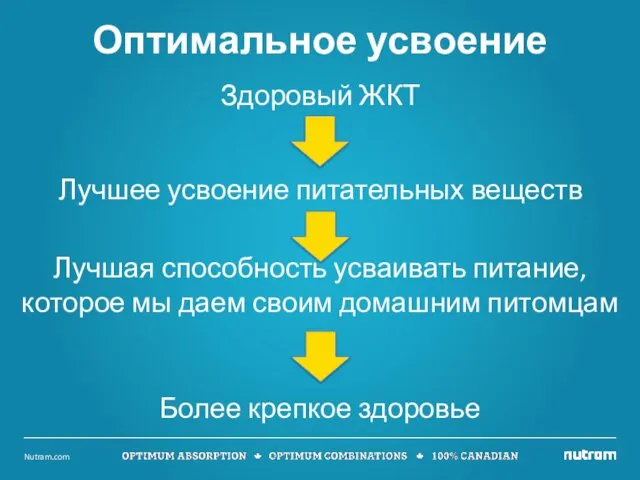 Здоровый ЖКТ Лучшее усвоение питательных веществ Лучшая способность усваивать питание,