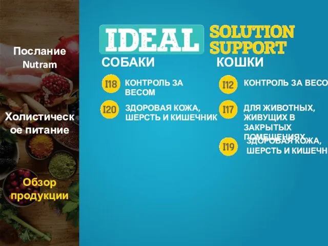 Послание Nutram Холистическое питание Обзор продукции СОБАКИ КОШКИ КОНТРОЛЬ ЗА