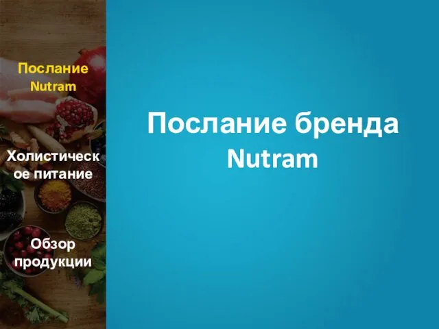 Послание бренда Nutram Послание Nutram Холистическое питание Обзор продукции