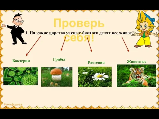 Проверь себя! 1. На какие царства ученые-биологи делят все живое? Бактерии Грибы Растения Животные