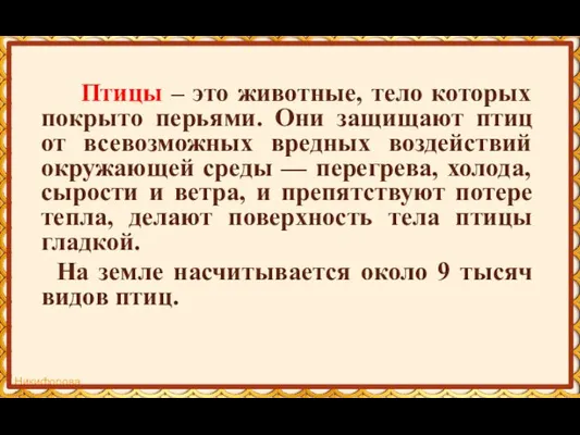 Птицы – это животные, тело которых покрыто перьями. Они защищают