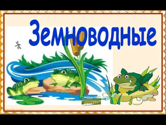 Земноводные