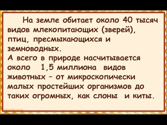 На земле обитает около 40 тысяч видов млекопитающих (зверей), птиц,