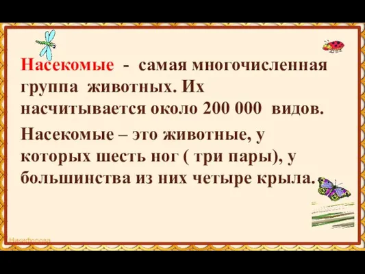 Насекомые - самая многочисленная группа животных. Их насчитывается около 200