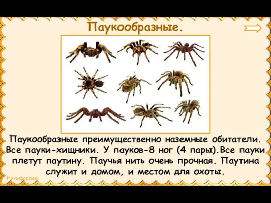Паукообразные преимущественно наземные обитатели. Все пауки-хищники. У пауков-8 ног (4