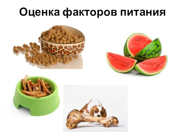 Оценка факторов питания