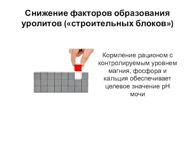 Снижение факторов образования уролитов («строительных блоков») Кормление рационом с контролируемым уровнем магния, фосфора