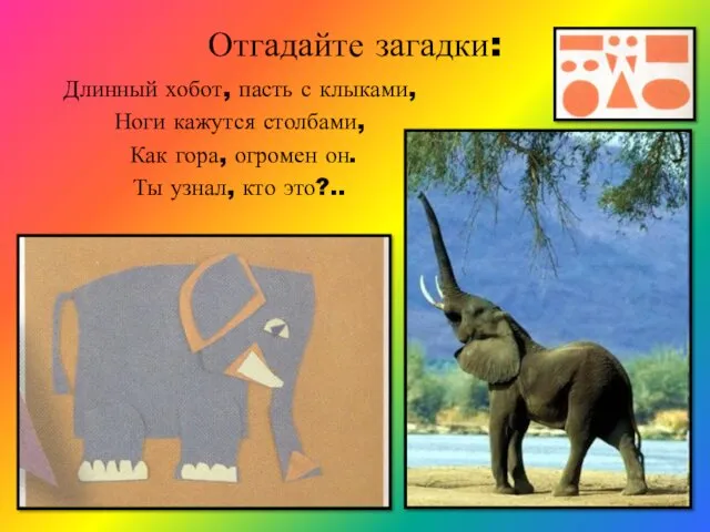 Отгадайте загадки: Длинный хобот, пасть с клыками, Ноги кажутся столбами,