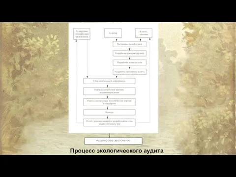 Аудиторское заключение Процесс экологического аудита