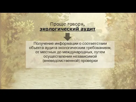 Проще говоря, экологический аудит Получение информации о соответствии объекта аудита